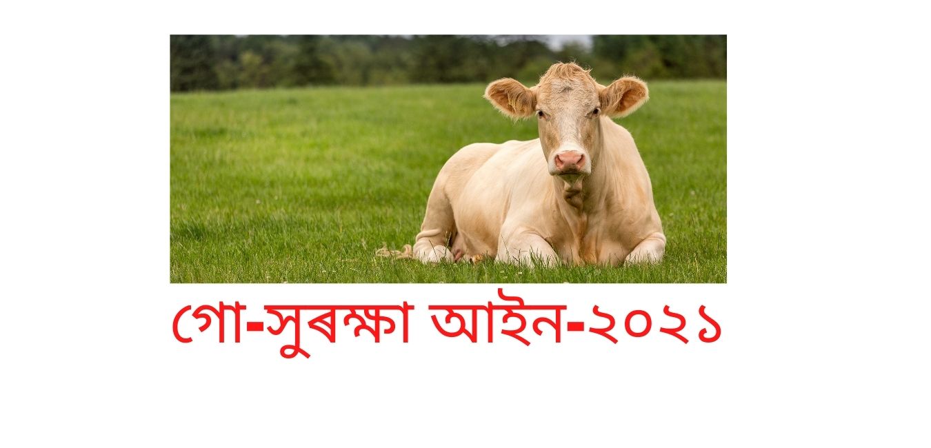 গো-সুৰক্ষা আইন